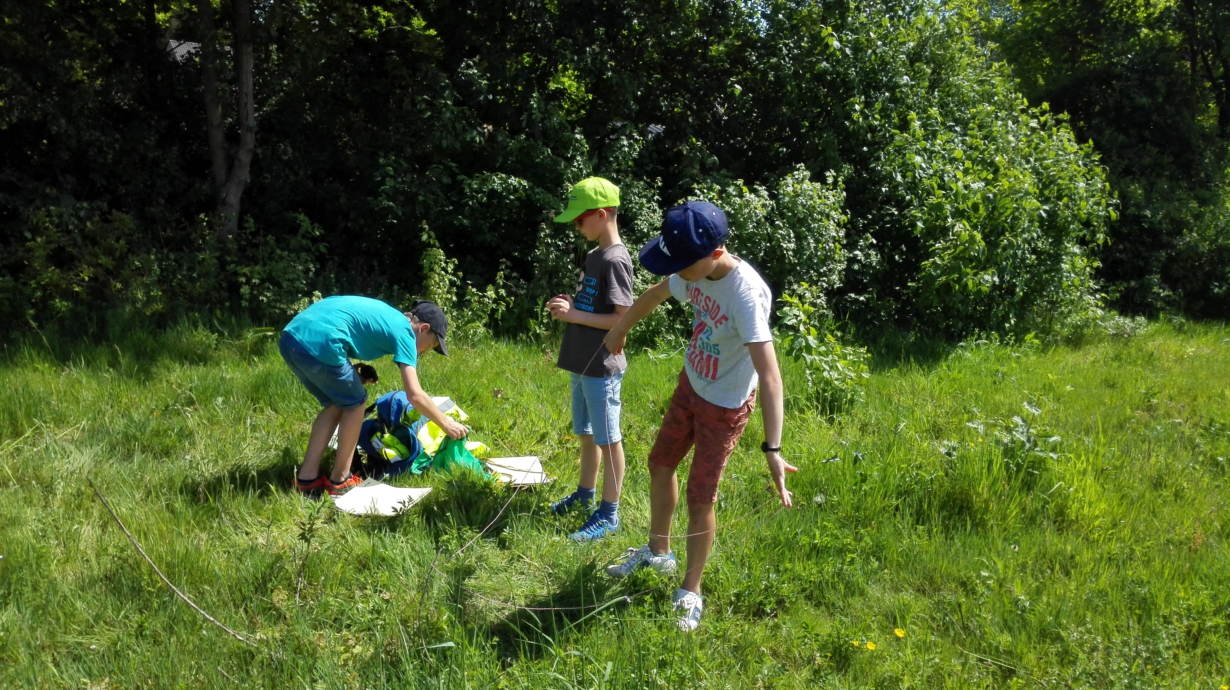 Het vierde leerjaar op onderzoek in de berm!